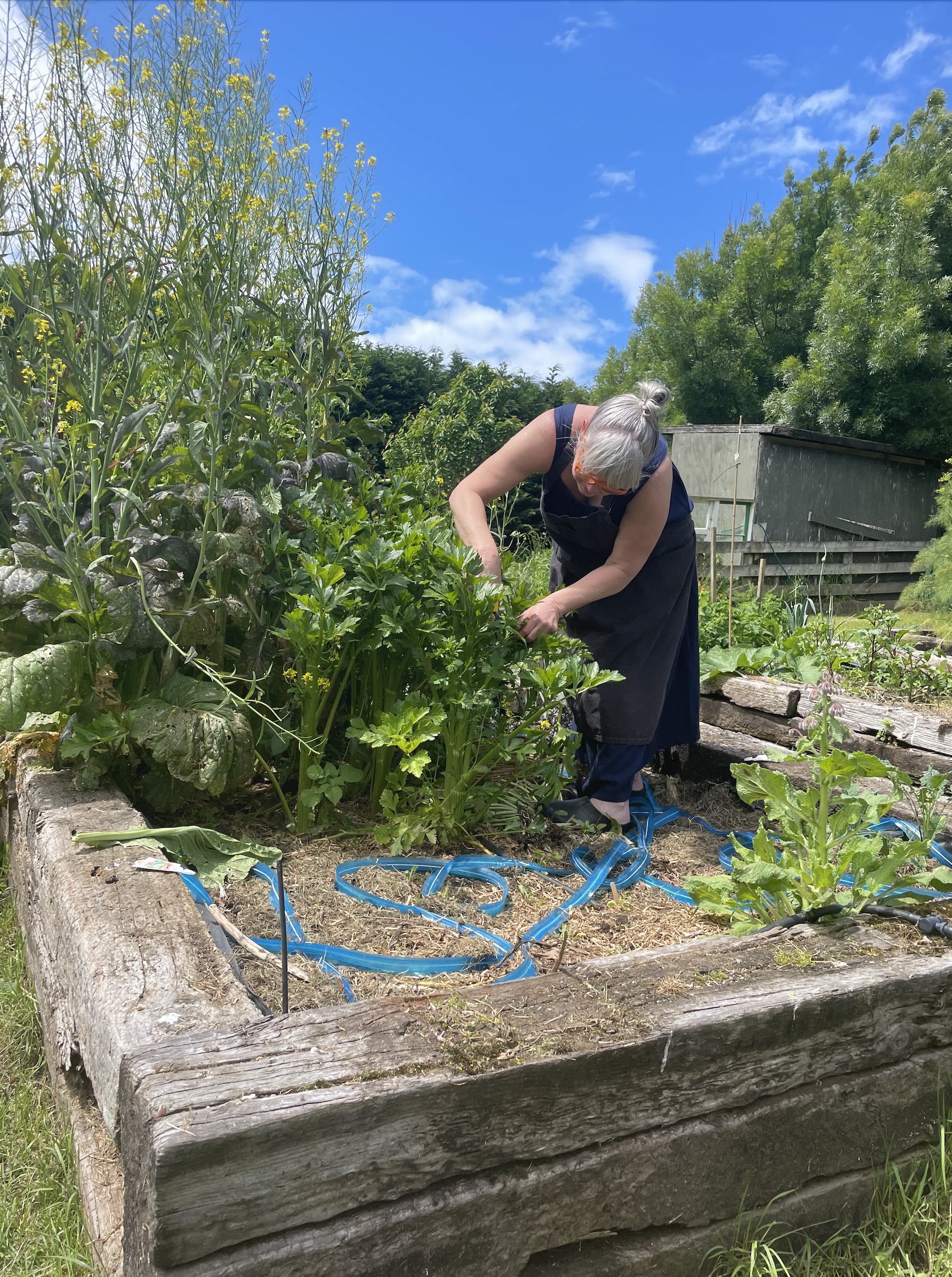 Cottage farmhouse vegetable garden Pia Russell