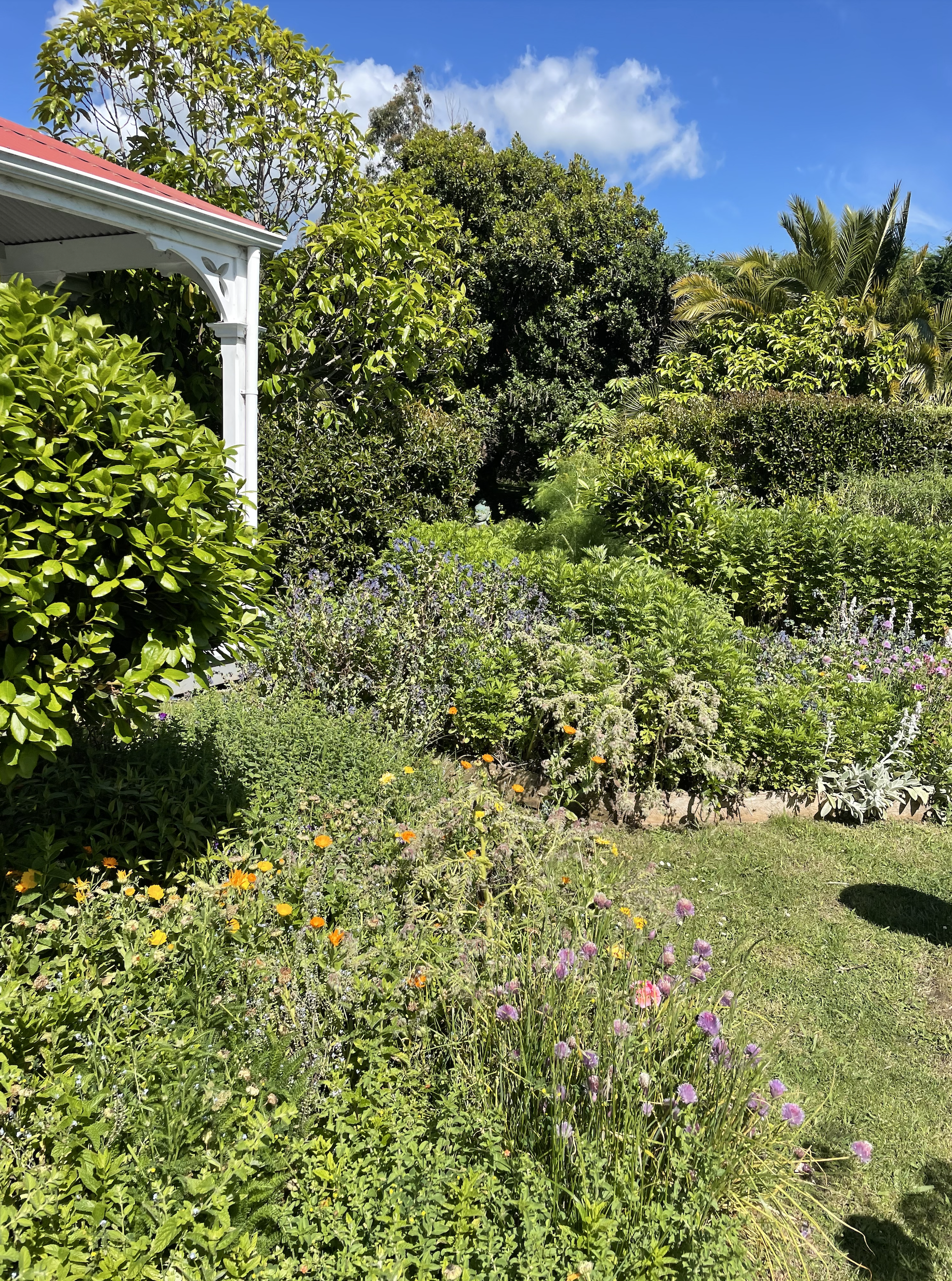 cottage garden wild
